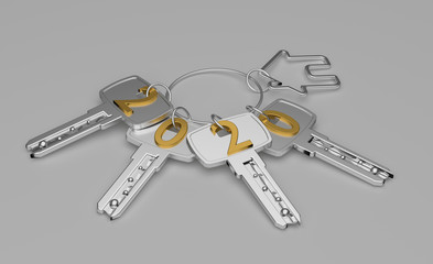 BONNE ANNÉE 2020 - Immobilier - Maison #3 blanc	