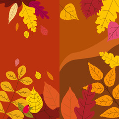 Set colorful autumn templates of autumn fallen leaves orange yellow foliage. Backgrounds social media stories banners