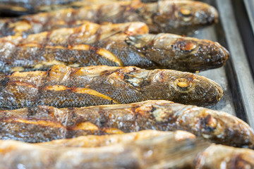 Grilled sea fish, close up. Food concept