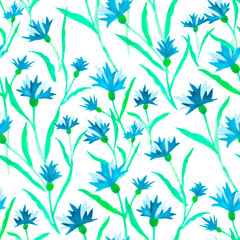 Beautiful watercolor illustration with watercolour blue cornflower on white background. seamless pattern. Watercolour illustration. Watercolor botanical illustration.