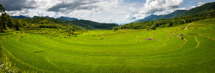 Terraced green and yellow rice fields of Pu Luong, close to Mai Chau in Thanh Hoa province. Transition stage to harvest season in Pu Luong. Stitched panorama. 