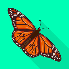 Fototapeta na wymiar Vector illustration of butterfly and spring logo. Collection of butterfly and decorative vector icon for stock.