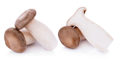King oyster mushroom Pleurotus eryngii on white background