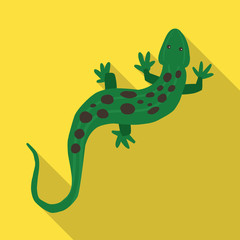Vector illustration of lizard and green symbol. Set of lizard and crawl vector icon for stock.