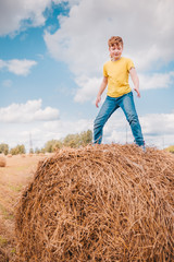 Naklejka na ściany i meble British red-haired cheerful boy balances on a cylindrical haystack - active fun in the summer