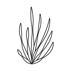 Vector design of seaweed and algae symbol. Set of seaweed and undersea stock vector illustration.