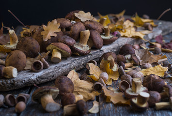 Wild mushrooms with dry yellow leaves. on a board.