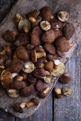 Top vie od fresh wild mushrooms on a wooden background.
