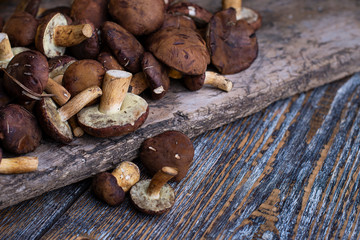 Brown natural wild mushrooms on a wooden background.