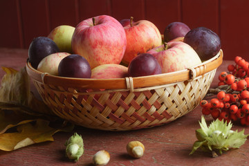 Autumn still life of autumn apples and plums, rowan bunches