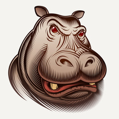 Head of an animal hippo. Big isolated face muzzle of aggressive hippopotamus. Vector inked vintage illustration of retro engraving style for print design, mascot, portrait for avatar. Color version.