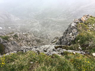 Fototapeta premium Nebel