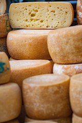 Variety homemade bio natural cheese in a street food market , vertical