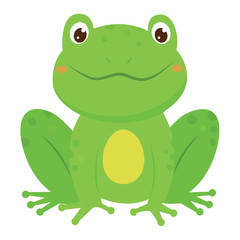 Green smiling frog. Cartoon style. Vector illustration