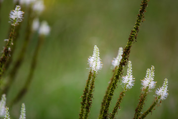 Herbst in Deutschland