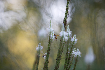 Herbst in Deutschland