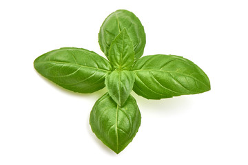Sweet basil herb leaves, isolated on white background