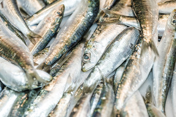 Stack of fresh fish in market