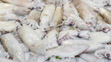 Close-up of fresh squid for sale
