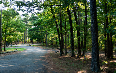 Talimena Scenic Byway, Ouachita Mountains, Oklahoma
