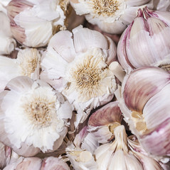 Macro shot of garlic in store