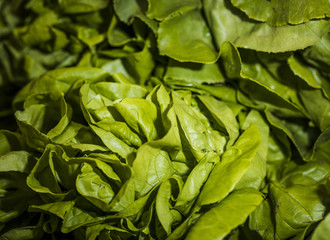 Fototapeta na wymiar Macro shot of fresh lettuce in shop