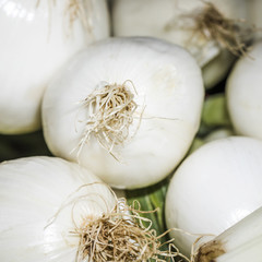 Green fresh onion for sale on market