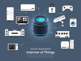 Voice assistant internet of things
