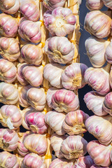 Red garlic hanging on farmer's market stall. White and purple red color heads, bits of roots, stems, vertical