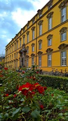 Schloss Osnarbrück