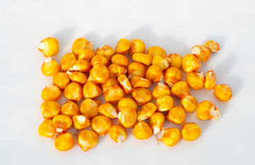 corn grain on a white background