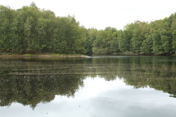 a pebble lake in the moor with an island in northern Germany