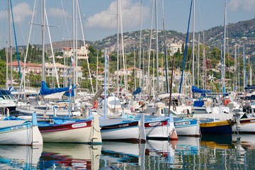 yachts in harbor