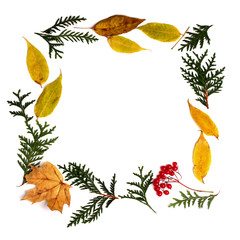 Autumn background with natural decor. Round frame with fall foliage and herbarium. Copy space for seasonal promotions and discounts -
