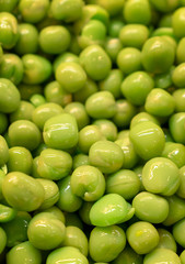 Freshly Prepared Green Peas for Salad Bar.