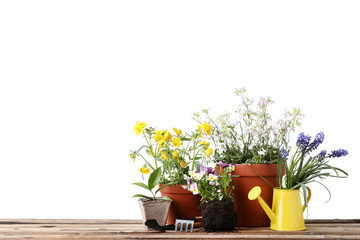 Garden tools with flowers in pots on wooden table