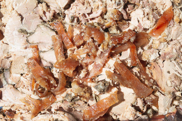 Photograph of a tray with typical italian roast pork.