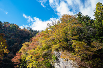 Fototapeta na wymiar Geibi Gorge ( Geibikei ) Autumn foliage scenery view in sunny day. Beautiful landscapes of magnificent fall colours in Ichinoseki, Iwate Prefecture, Japan