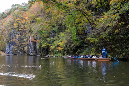 Geibikei Gorge River Cruises in Autumn foliage season. Beautiful scenery landscapes view in sunny weather day. Ichinoseki, Iwate Prefecture, Japan
