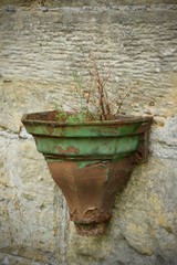 Wall mounted plant pot containing weeds, rusty green