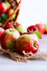 Ripe organic apples on jute fabric on a light background.
