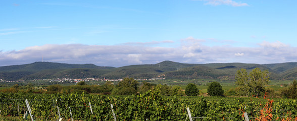 Panorama vom Haardtrand mit Blick auf den Pfälzer Wald