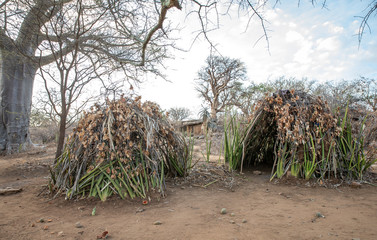 hadzabe homes