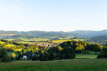 Landscape with pine forests in the mountains in summer