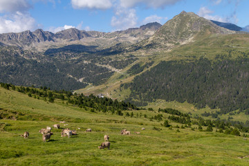 Fototapeta na wymiar Andorra, Pas de la Casa (Pirenei)