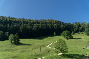 Hiking trail in switzerland