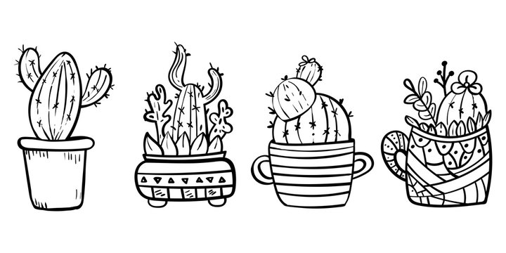 Cacti blooming with spikes. Coloring page for children and adults. - Vector. Vector illustration