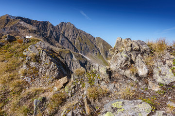 Berggrat im Hochgebirge Österreichs