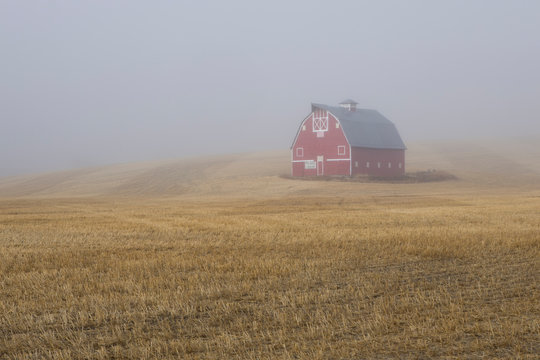 Red barn on a foggy morning on the Palouse.