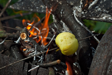 Grilled vegetables are baked on fire. The apples are roasting in the evening.